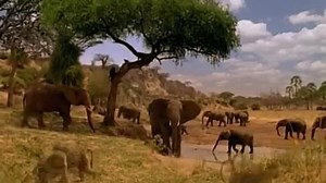 Michael Jackson - Earth Song (Official Video)