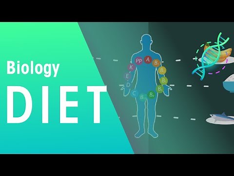 Balanced diet | Health | Biology | FuseSchool