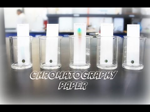 AP Chemistry Investigation #5: Chromatography Paper.
