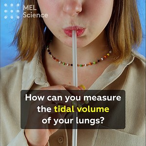 The amount of air you inhale or exhale at once is called tidal volume. 🌬 You can measure it without any sophisticated equipment. Check out how! For step-by-step instructions go here: https://mel.sc/s8X/ Cool medical practice is waiting for you in the MEL MED subscription: https://mel.sc/s8Y/ | MEL Science