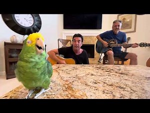 Bird Is The Word (feat Rob Robinson)