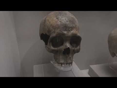 The World's Deepest Secrets - Latest News & Insights