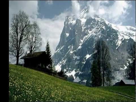 Water's Edge - Tim Janis