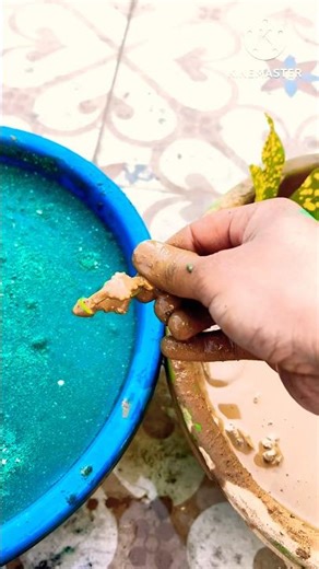 Unboxing a Rare Happy Birthday Sticker from Iran!