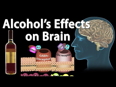 Effects of Alcohol on the Brain, Animation, Professional version.