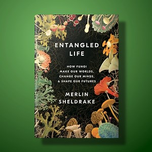 My son Merlin’s book Entangled Life is released in the US and Canada today, with rave reviews! Follow on Instagram: @merlin.sheldrake "Dazzling, vibrant, vision-changing." - Robert Macfarlane "Urgent, astounding, revelatory." - Helen Macdonald "A must read." - Paul Stamets | Rupert Sheldrake