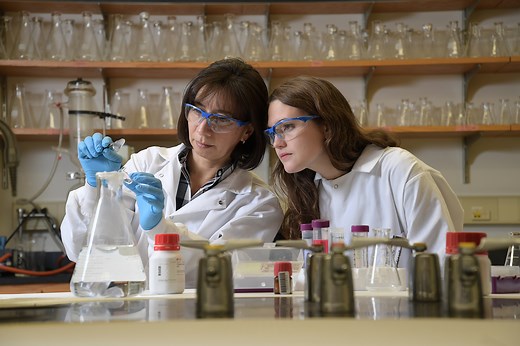 Materials Science Graduate Program: Graduate Education on Soft Matter Science