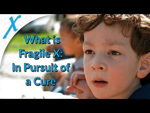 What is Fragile X Syndrome - In Pursuit of a Cure