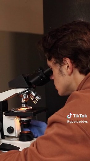 How to Check Your Goat's Fecal for Parasites