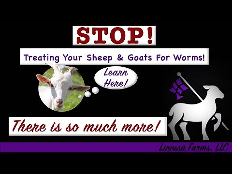 Stop Worming Your Sheep and Goats! Start Treating Sheep and Goats for Parasites!