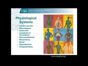 What is Aging Doing to My Body? (And What Can I Do to Stop It?)