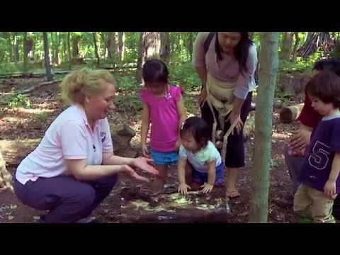 STEM in Early Learning: Exploring the Natural Environment with Young Children*