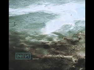 Nine Inch Nails - The Perfect Drug (Quiet)