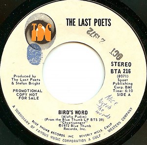 The Last Poets - Bird's Word
