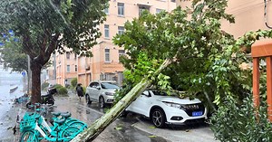 台風13号が中国上海直撃、1949年以来最強　航空便欠航や列車停止
