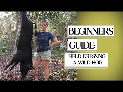 A Beginners Guide For Field Dressing Wild Hogs