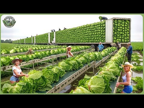 31+ Incredible Farming Technology You’ve Never Seen How Farmers Produce Billions Tons of Food ▶ 1