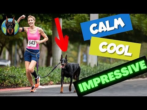 Owning a “Go-Anywhere” Doberman Pinscher