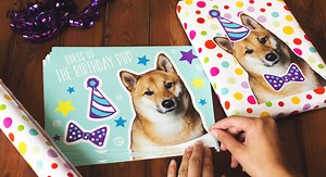 Birthday stickers | Sticker Mule