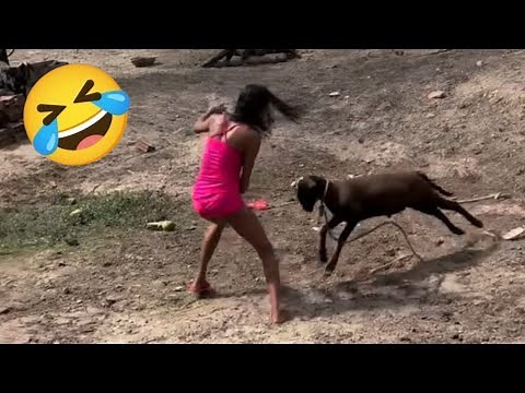 Try Not To Laugh 🤣 Top 100 Funniest Fails & Memes From Around The World Compilation 🌍 | Part 18