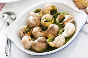 What are the Benefits of Escargot?
