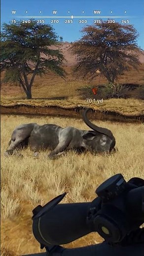 NEW 9.3x62mm vs BUFFALO