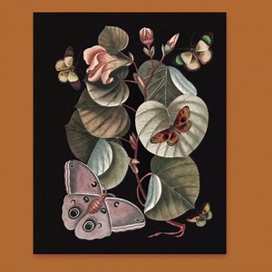 Publications International Ltd.