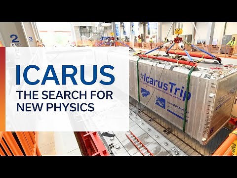 ICARUS: The search for new physics