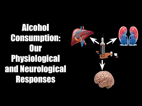 Alcohol Consumption: Our Physiological and Neurological Responses