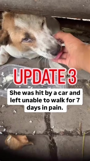 We never give up on them ❤️