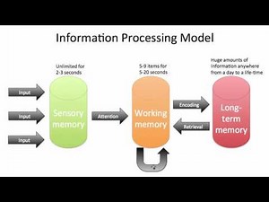 information processing model