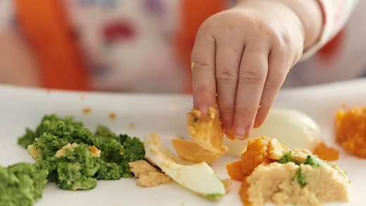 6 months - Feeding your baby - Best Start in Life - NHS