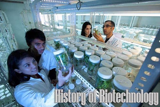 History of Biotechnology | Complete History | BioExplorer.Net