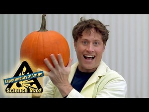 Science Max | EGG DROP | Experiments