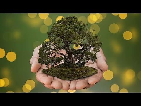 World nature conservation day 28th July #worldnatureconservationday #nature #environment