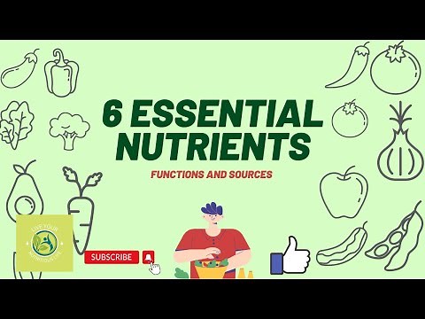 6 Essential Nutrients and Their Functions and Sources