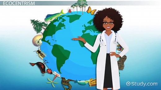 Ecocentrism in Environmental Ethics