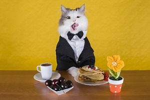 110  Useful Food Words in Spanish | FluentU Spanish Blog