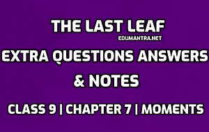 The Last Leaf Extra Questions Answers