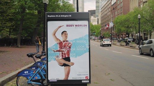 Come see the human body like never before at BODY WORLDS & The Cycle of Life exhibition. | Museum of Science, Boston