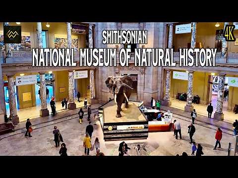 Discover the Wonders of the Smithsonian National Museum of Natural History | 4K Virtual Tour