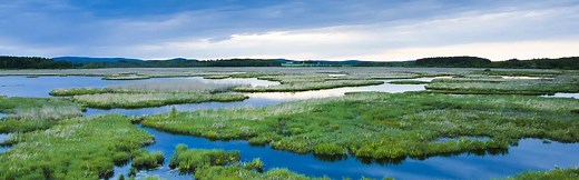 Earth 360 - NASA Science