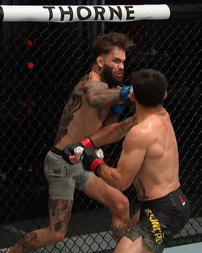 In honor of Khamzat Chimaev's return, lets take a look at the Top 10 One Punch knockouts in UFC history. [ #UFC273 | Saturday | Live on ESPN PPV: ufc.ac/3K36d8R] | UFC