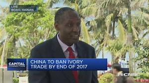 China's ivory trade ban: Will it work?