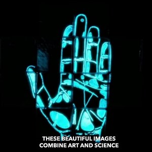 Simply stunning AND educational! | Science Channel