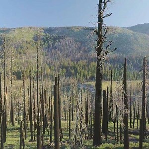 The Science of Climate Change