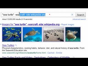 Basic Search Techniques with Google