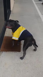 Homeless POV of our Workshop! | Cutting Edge Engineering Australia