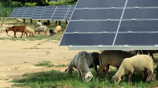 Weird, wild and wonderful stories of joy from 2023