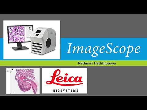 ImageScope-Image analysis software-full guide